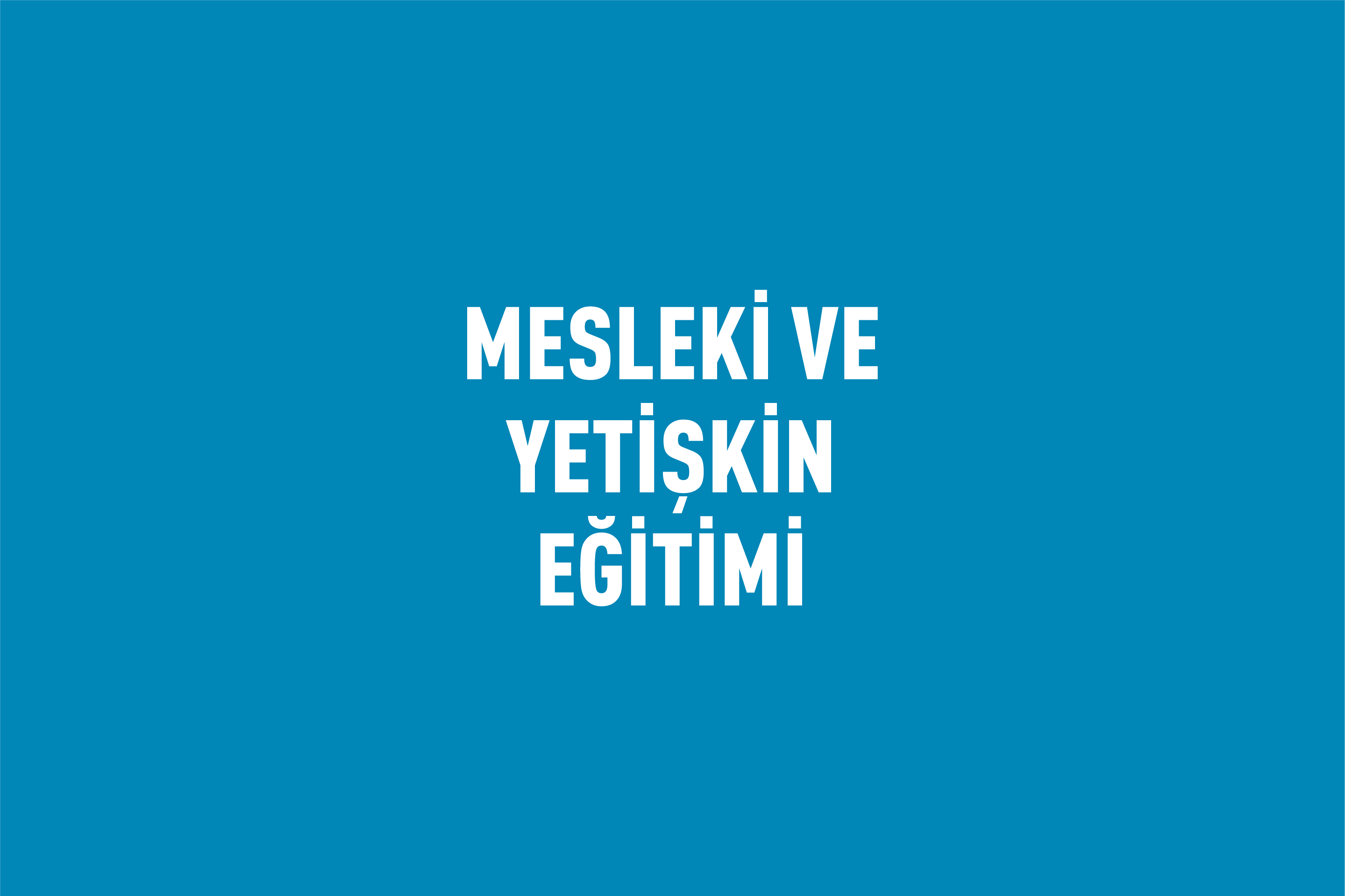 2026 Yılı Erasmus+ Mesleki Eğitim ve Yetişkin Eğitimi Kısa Dönemli Öğrenici ve Personel Hareketliliği (KA122-VET/KA122-ADU) Çevrim İçi Bilgilendirme Toplantısı