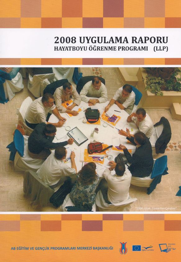 LLP Uygulama Raporu  2008