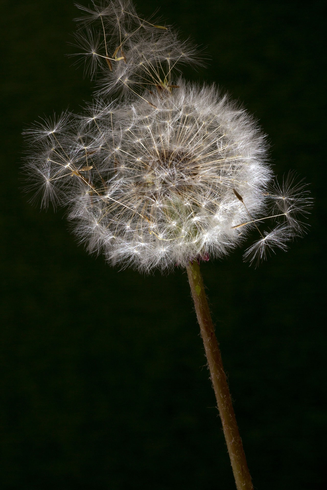 DEOR ÇALIŞTAYI_PROJELER_29KASIM2018