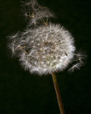 DEOR ÇALIŞTAYI_PROJELER_4Aralık2020