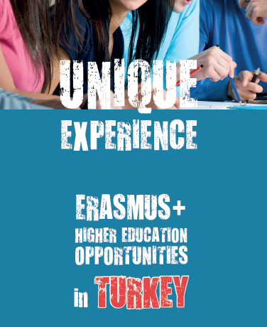 Higher Education Opportunities