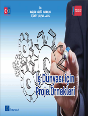 İş Dünyası için Proje Örnekleri (2014)